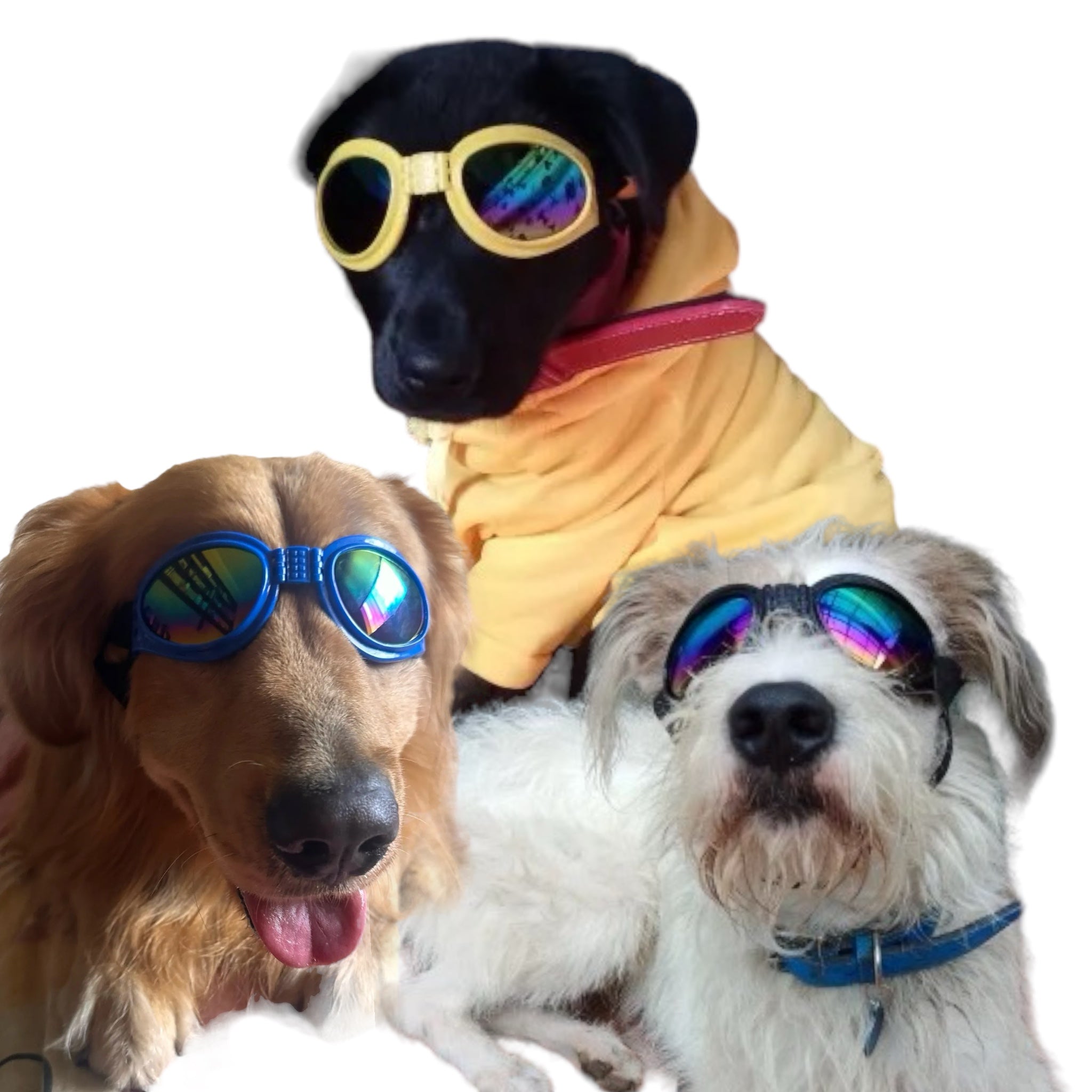 Solbriller hund - Doggles - Hundesolbriller