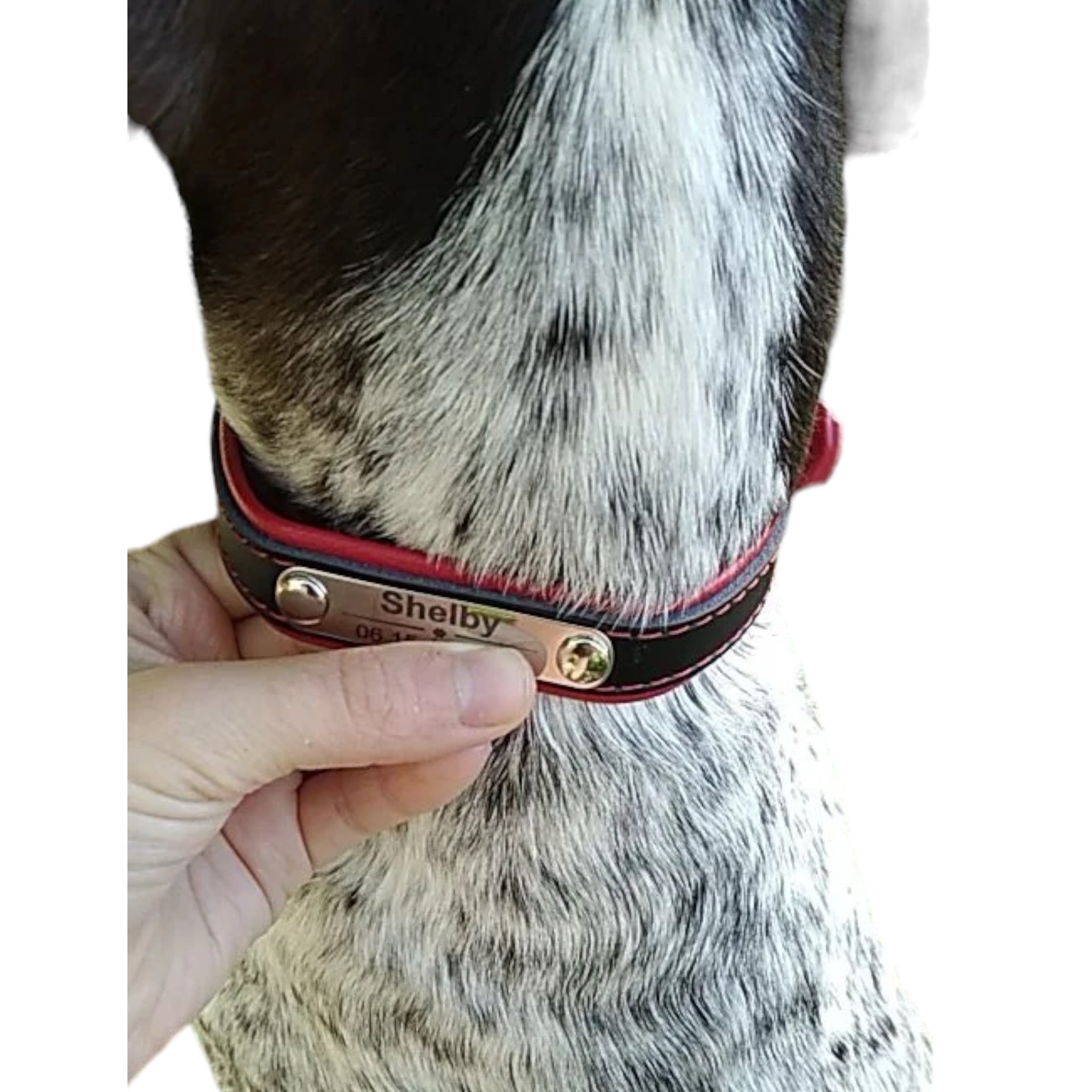 Eksklusivt kunstskinn halsbånd med navn - Skap stil og trygghet for din hund