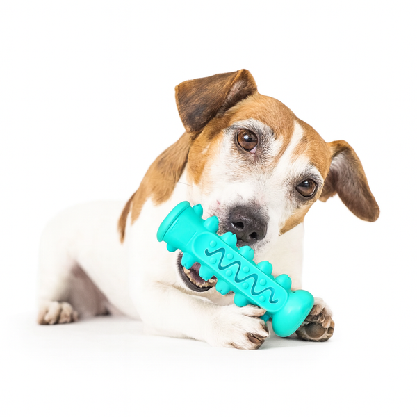 Tyggeleke for tannrens – Hundeleke som renser tenner og reduserer plakk