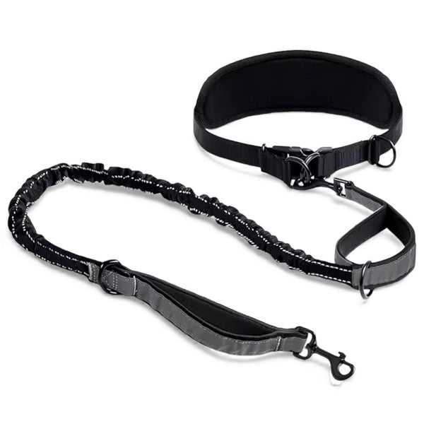 Løpebelte med støtdempende hundeline - Joggebelte hund