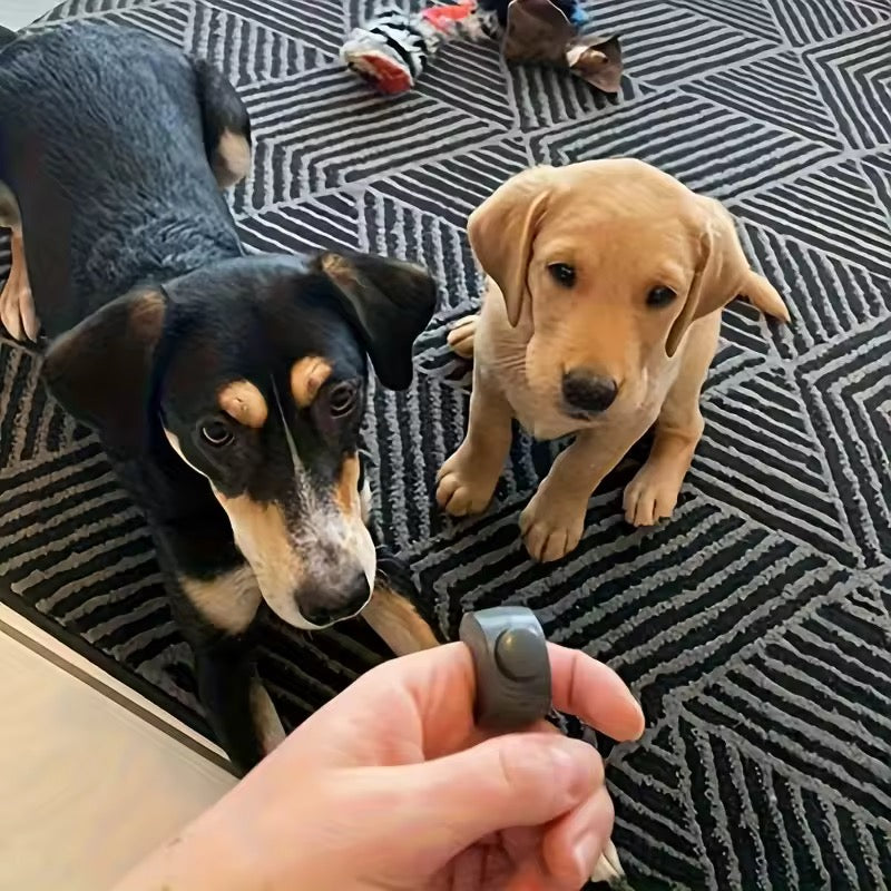 Hundetreningsring med klikker – Click X