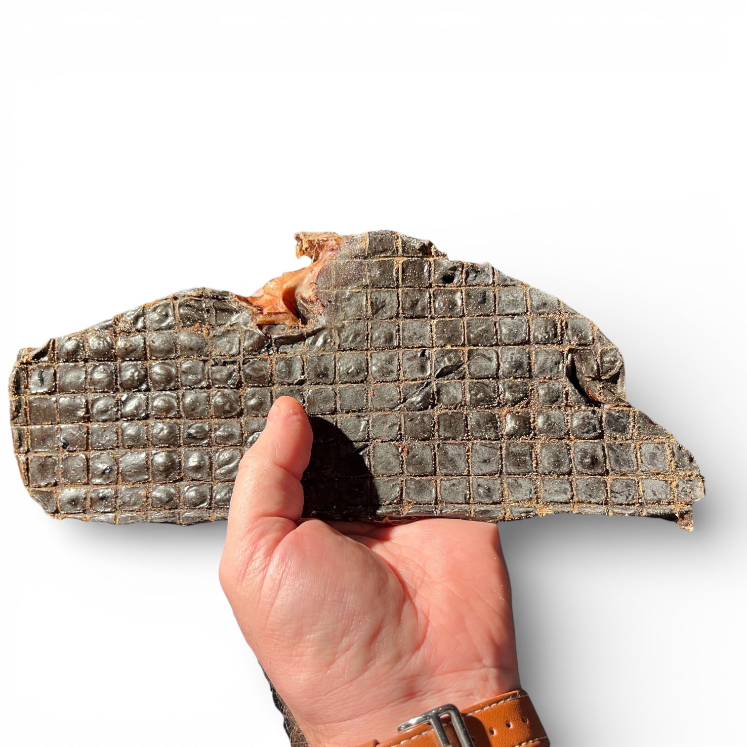 Tørket Okselever Hund – 100g | Naturlig Godbit fra Dalsgård