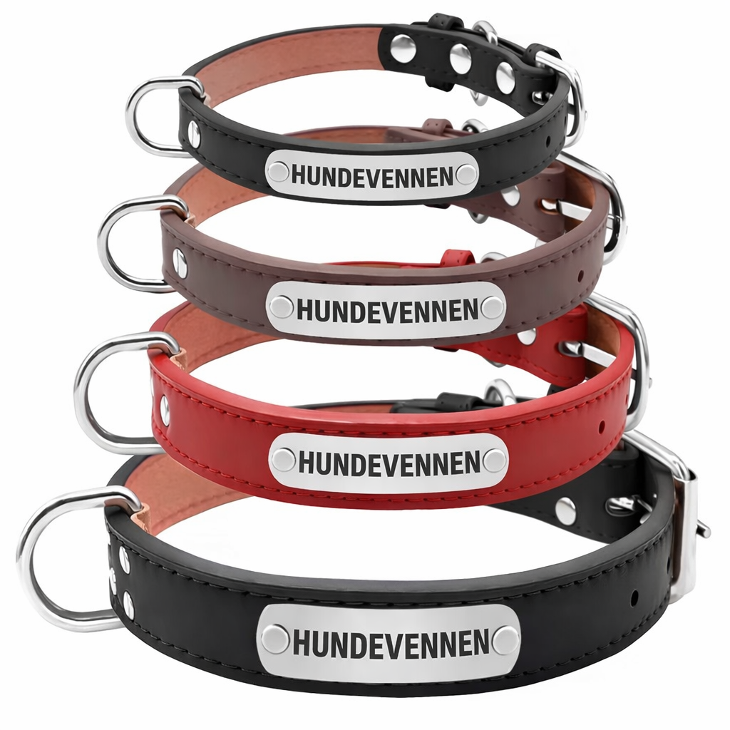 Personlig hundehalsbånd med gravering