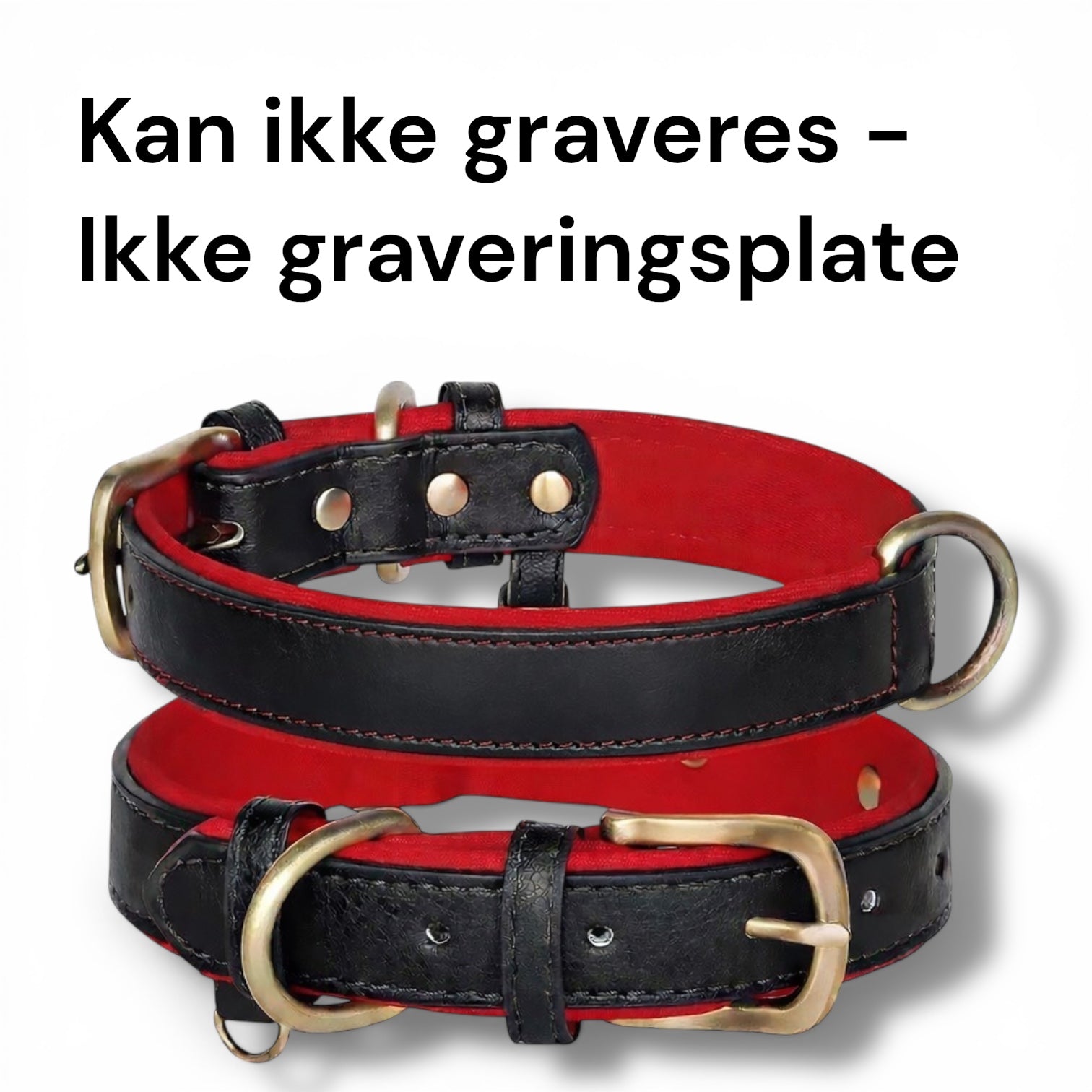 Hundehalsbånd med navn
