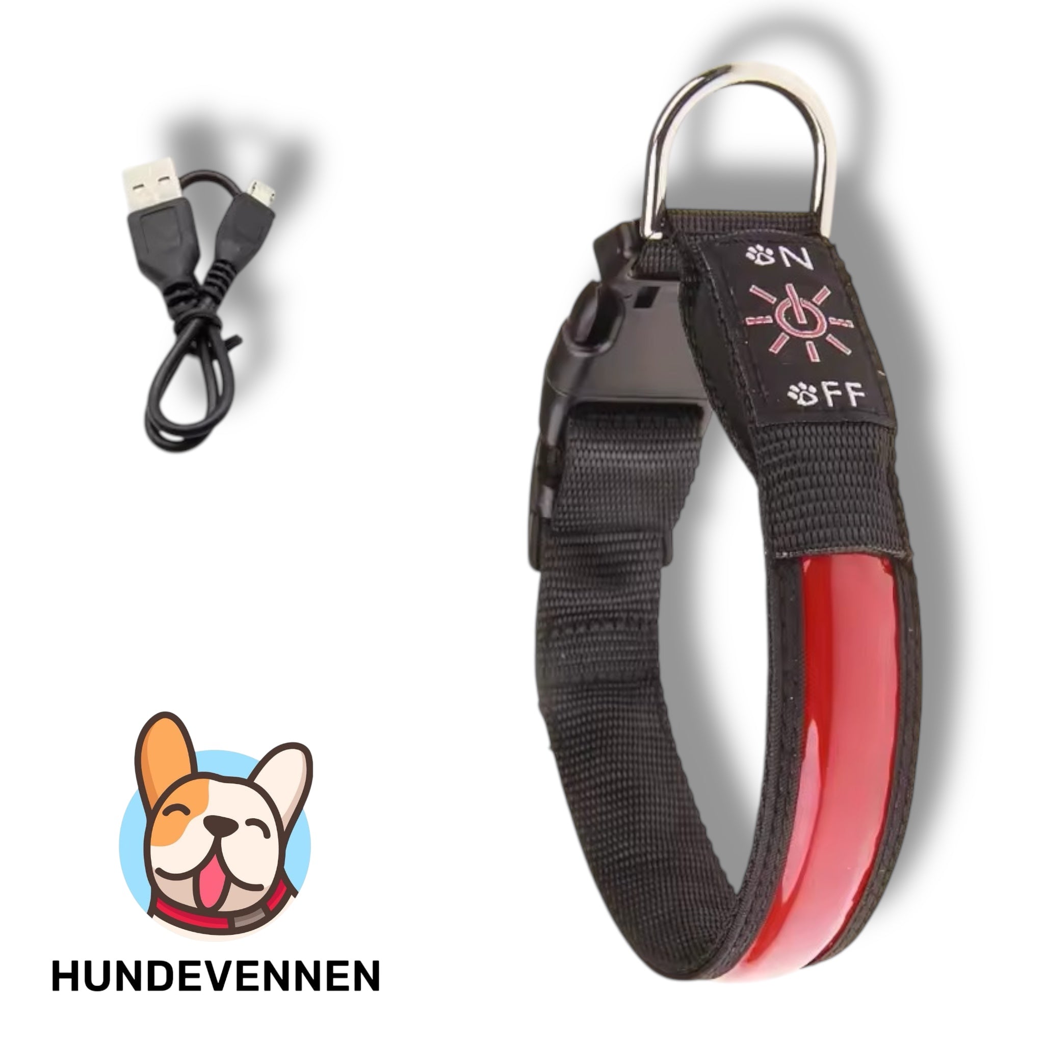 LED hundehalsbånd - Sikkerhet og stil