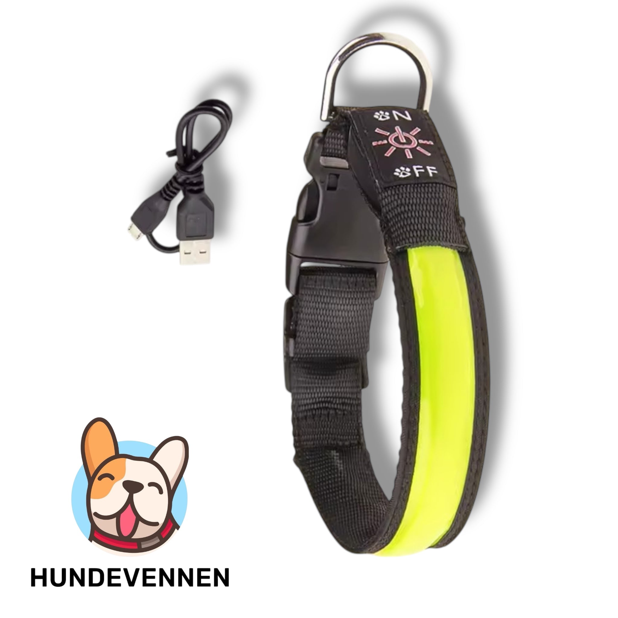 LED hundehalsbånd - Sikkerhet og stil