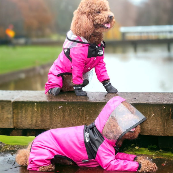 Regndress til hund