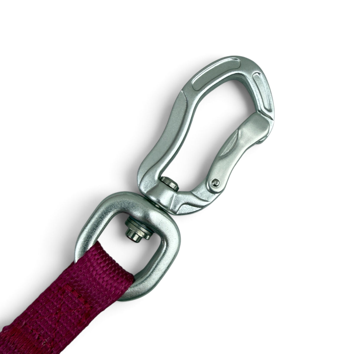 Kyflie Momentum kobbel