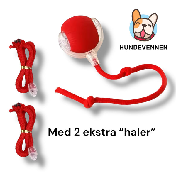 Interaktiv lekeball for katter - USB-oppladbar og intelligensstyrt
