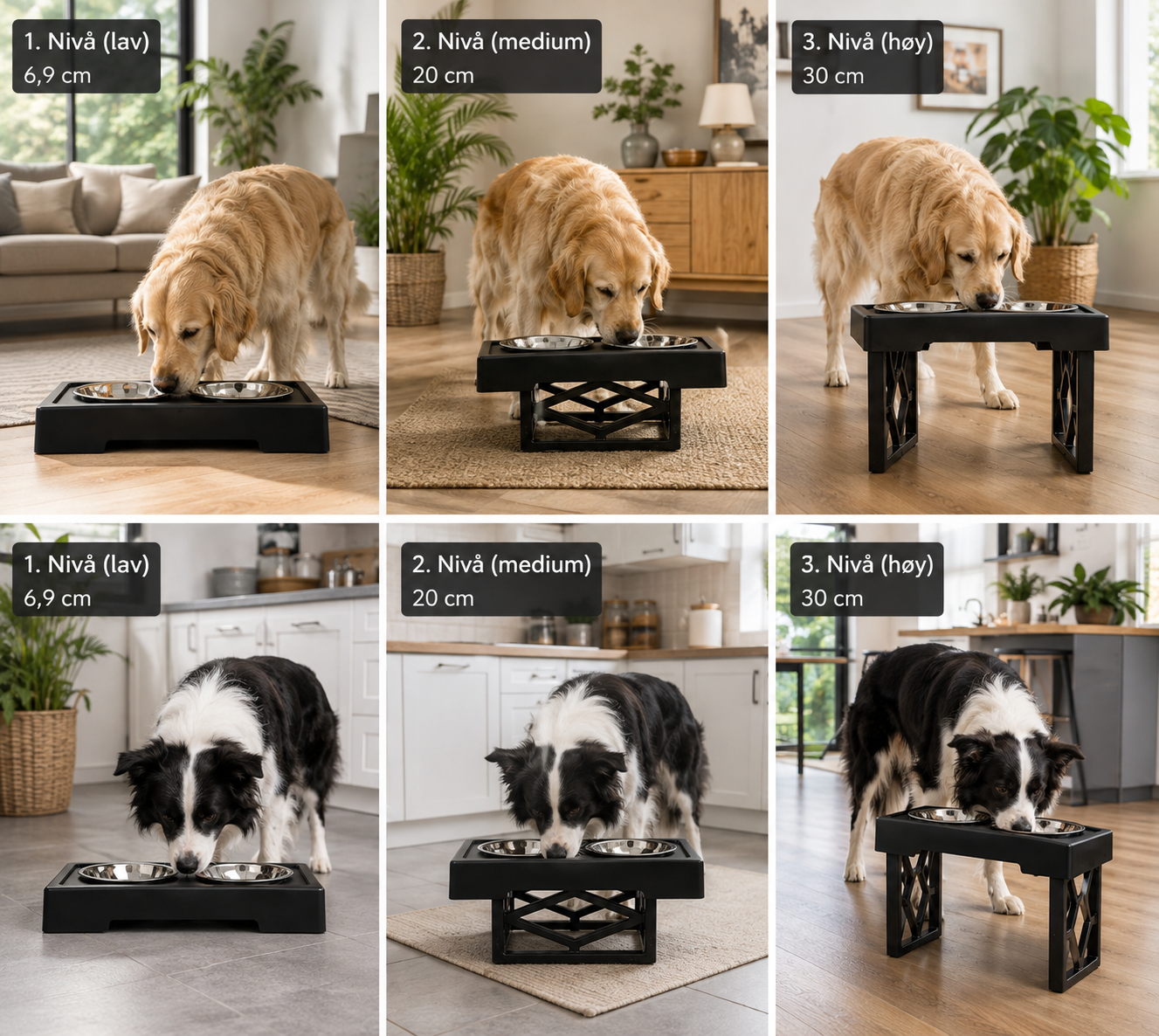 Justerbart matstativ til hund med 2 skåler