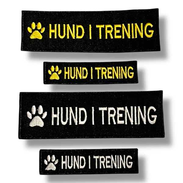 Hund i trening  - Borrelåsfeste