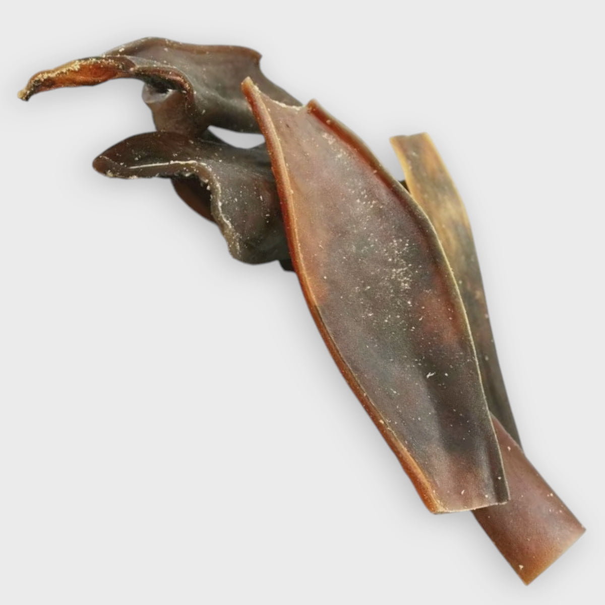Kamelhud til hund – ekstra hard, ca. 15 cm
