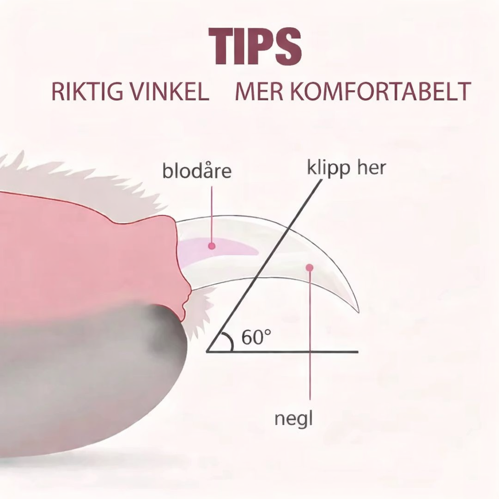 Kloklipper med lys – trygg kloklipp til hund og katt