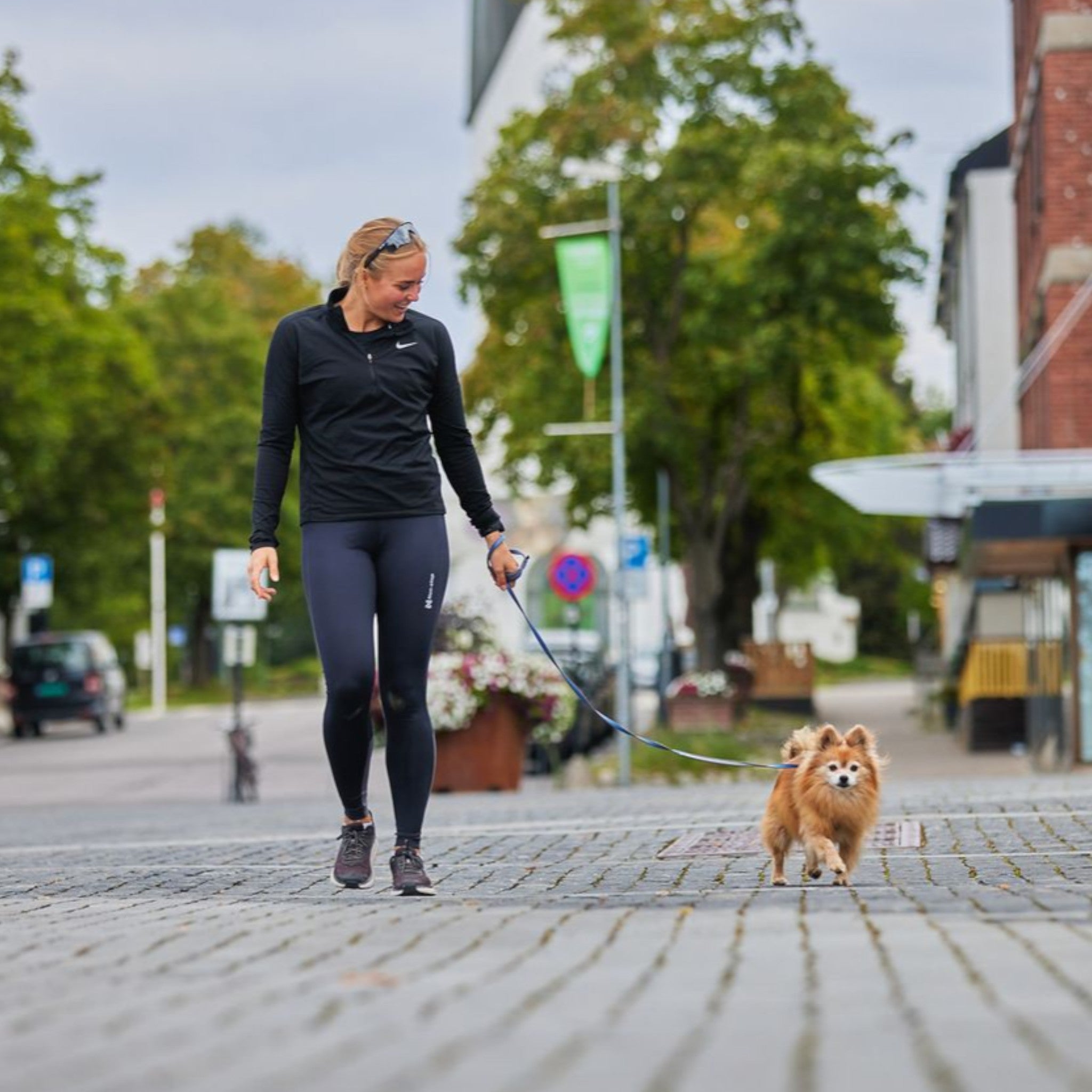 Non-Stop Dogwear Move Leash