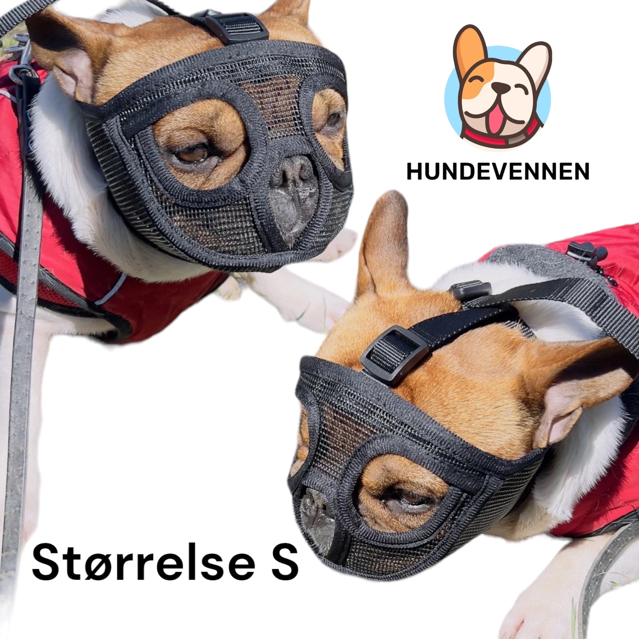 Munnkurv til hund - kort snute