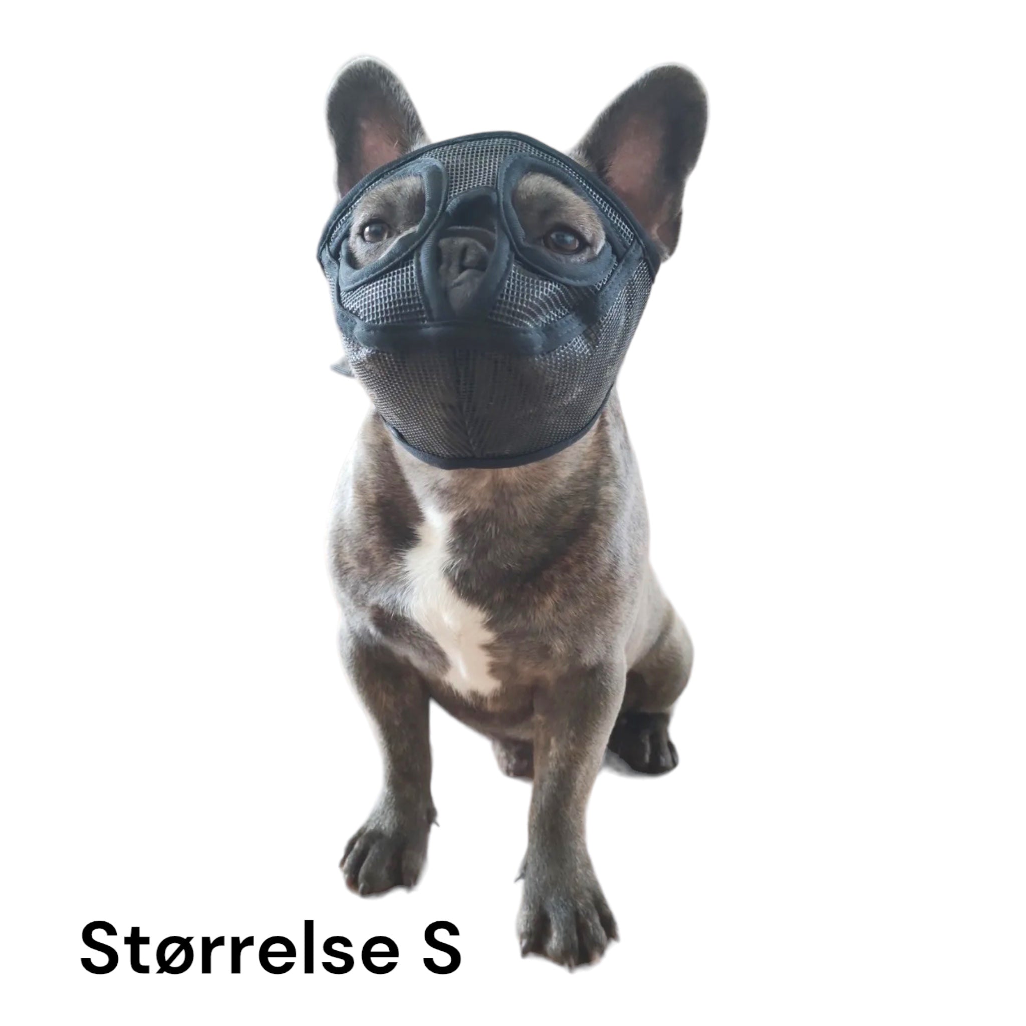 Munnkurv til hund - kort snute