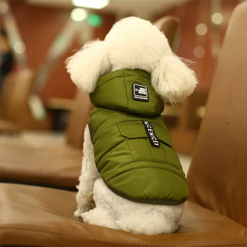 Hundevest boble – Vannavstøtende