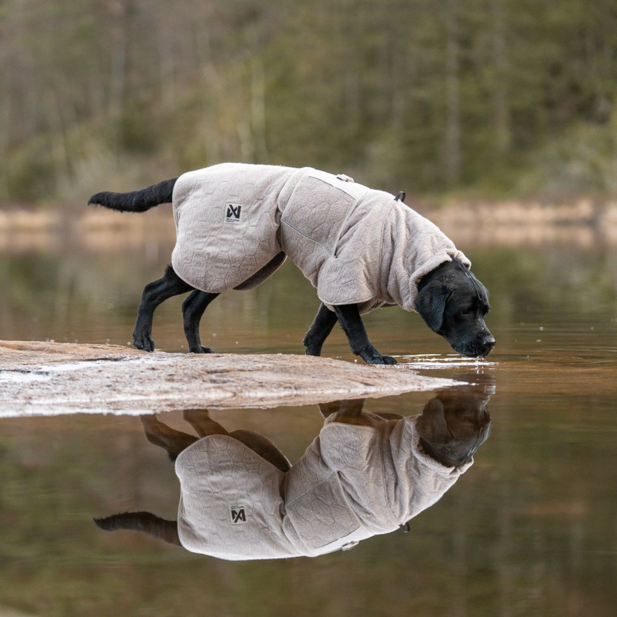 Non-stop dogwear Drying Coat – Sand