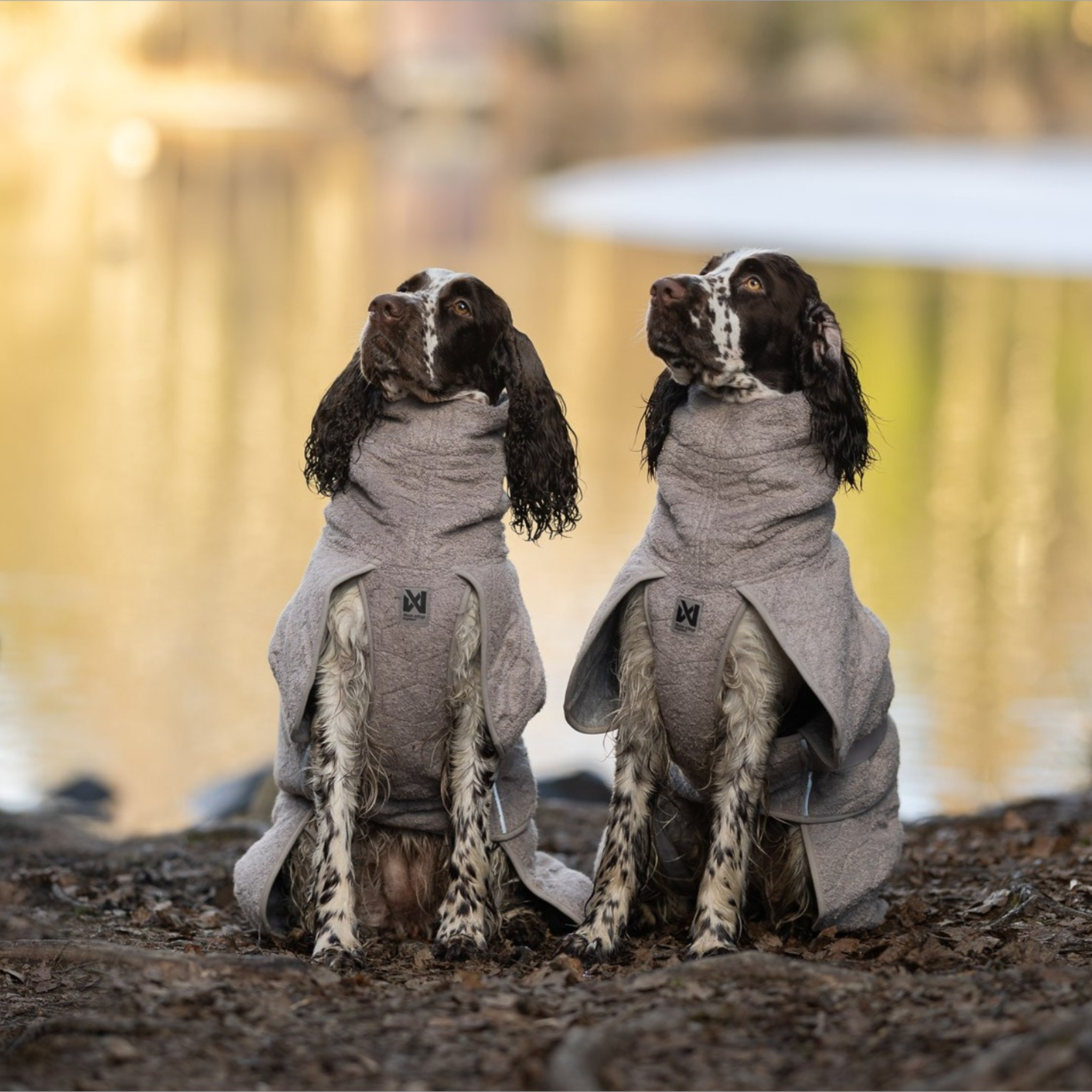 Non-stop dogwear Drying Coat – Sand