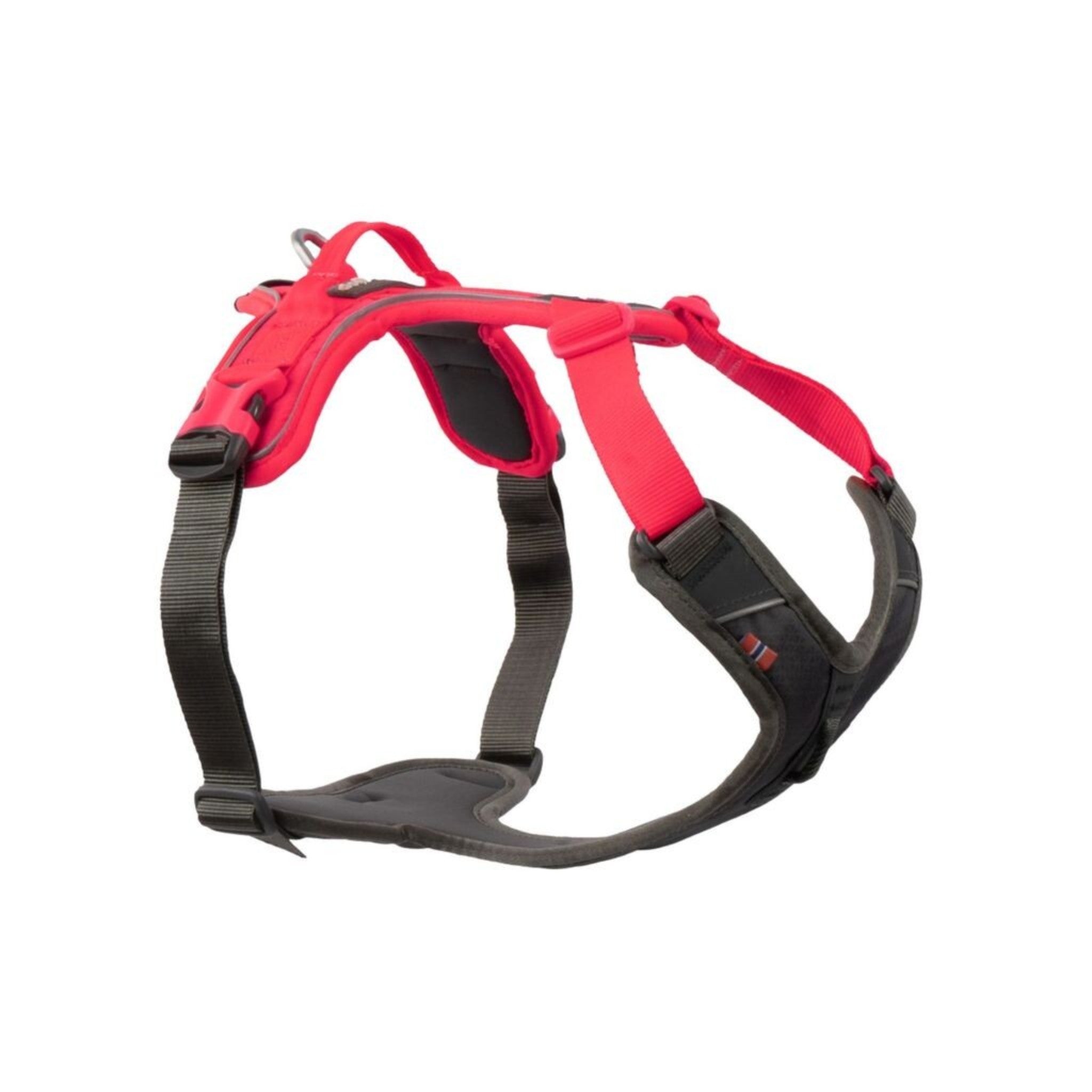 Non-Stop Dogwear Ramble harness