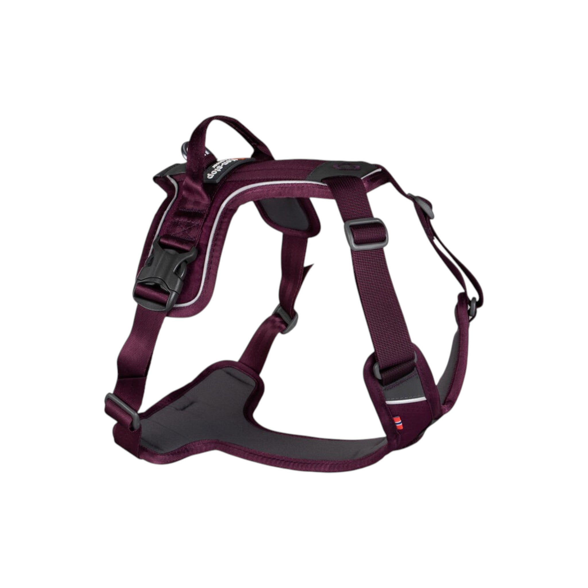 Non-Stop Dogwear Ramble harness
