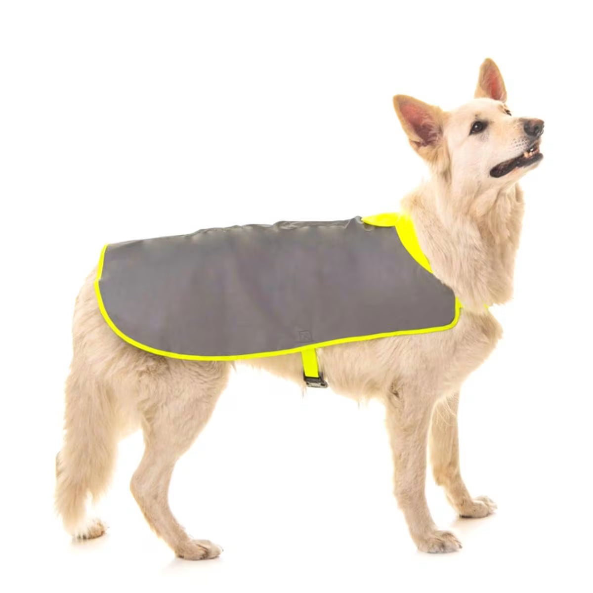 Refleksdekken til hund – 100 % refleks, vanntett og vindtett