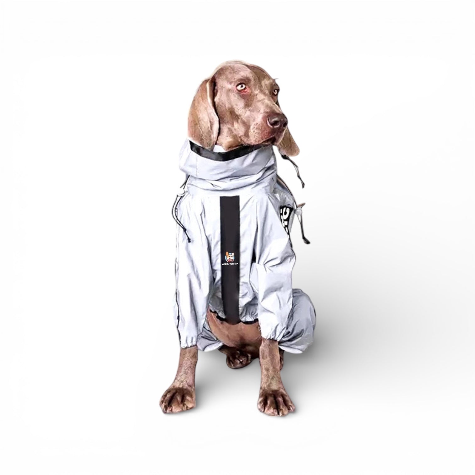 Regndress for hund med heldekkende refleks