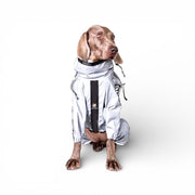 Regndress for hund med heldekkende refleks
