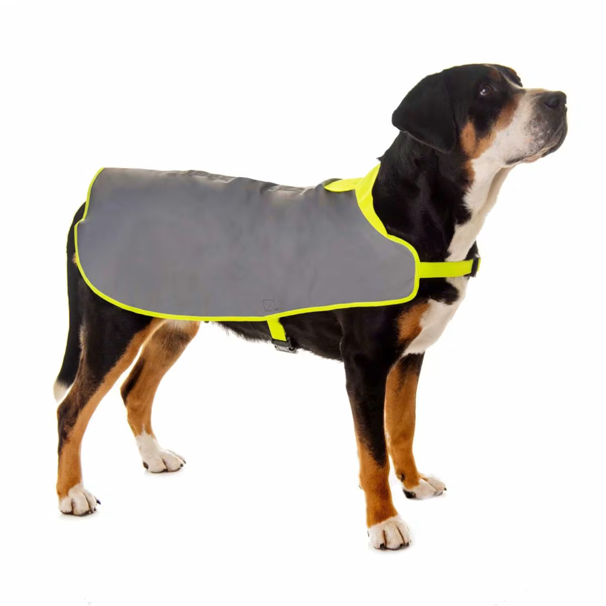 Refleksdekken til hund – 100 % refleks, vanntett og vindtett