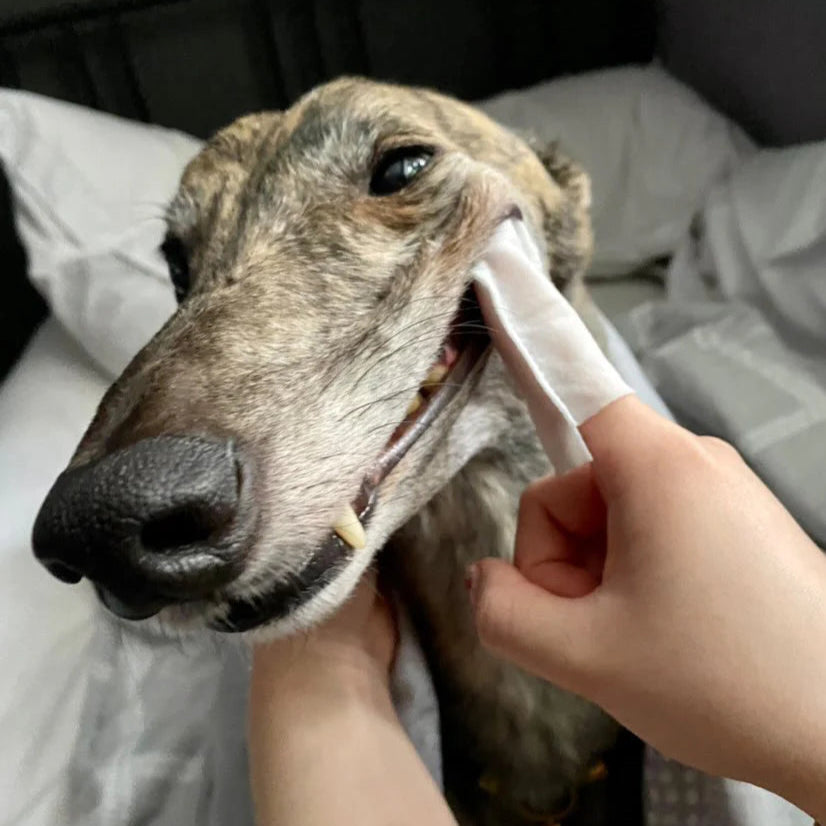 OurPetsLife tannservietter til finger 50 stk