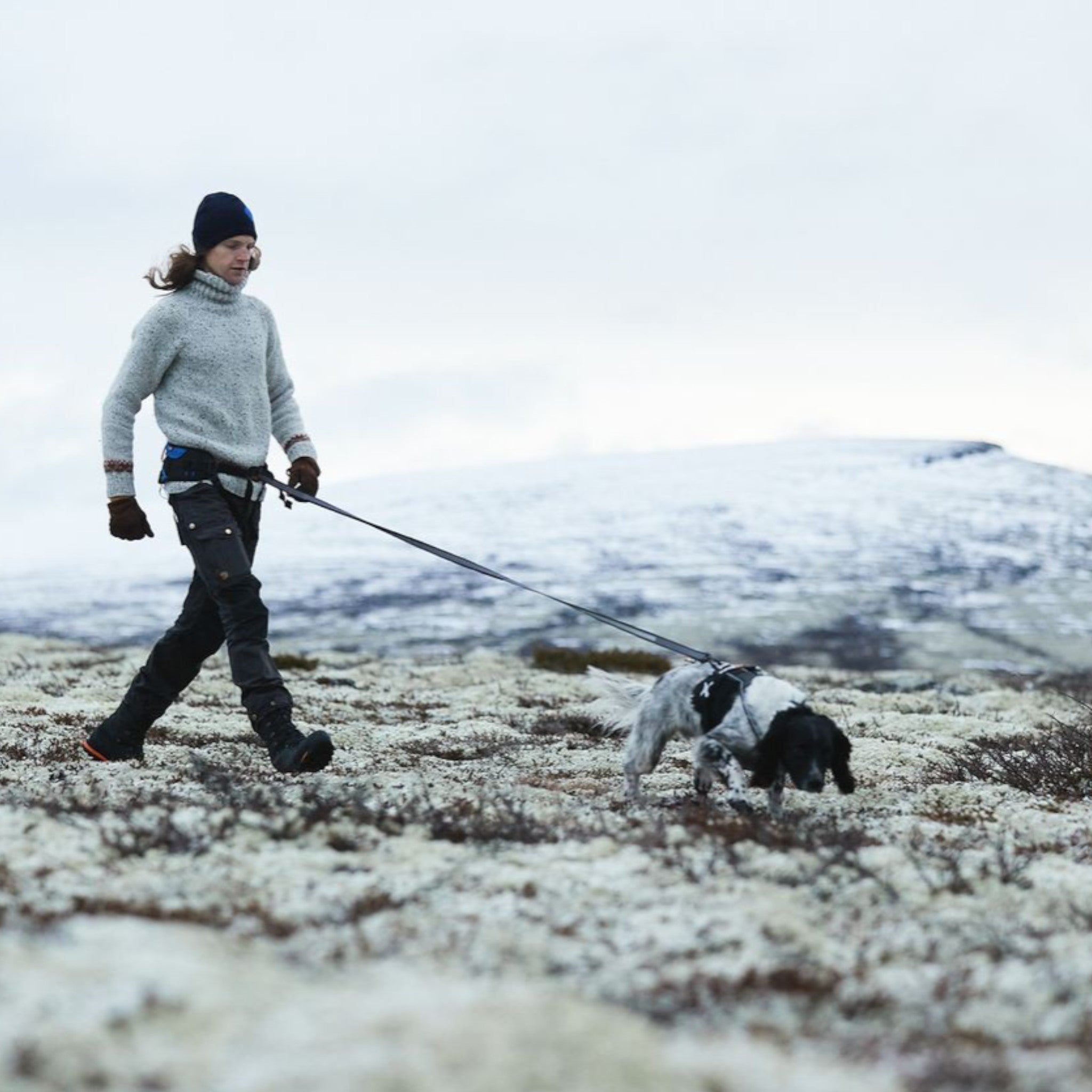 Non-Stop Dogwear Touring Bungee