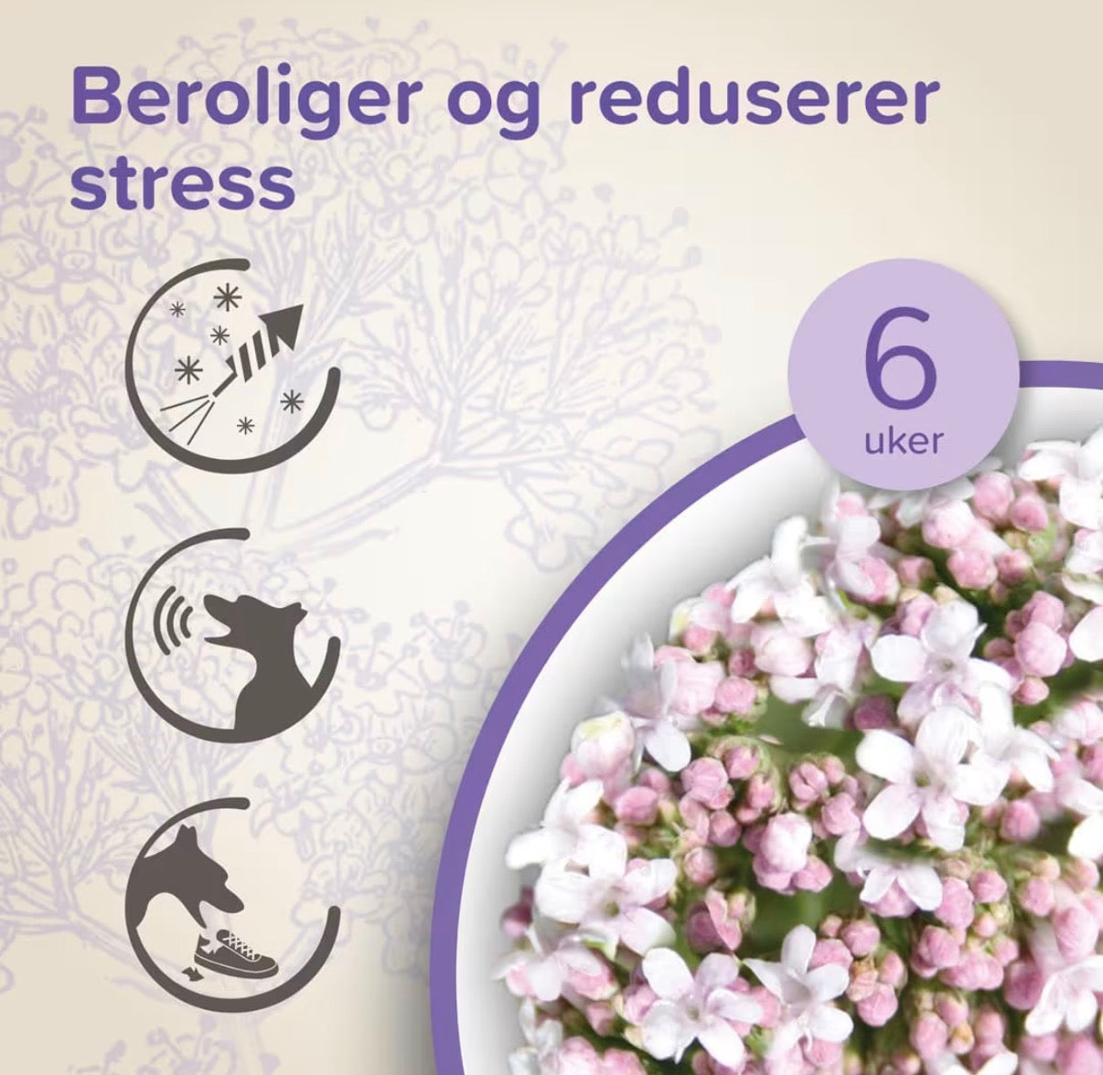 Beaphar Calming beroligende halsbånd til hund med valerian og lavendel