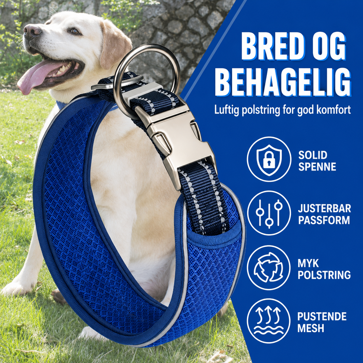 Bredt blått hundehalsbånd med pustende polstring, justerbar passform, metallspenne og D-ring