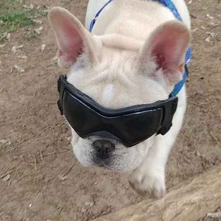 Briller hund - Solbriller hund - Doggles Dogshadez - Hundevennen