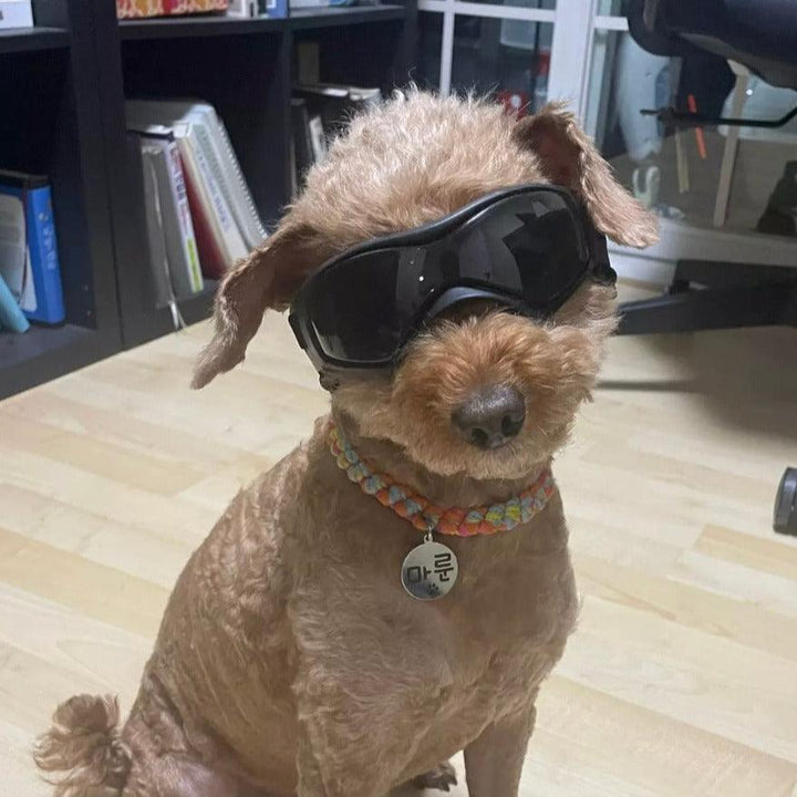 Briller hund - Solbriller hund - Doggles Dogshadez - Hundevennen