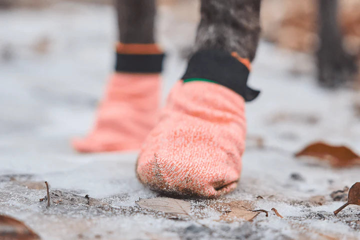 Non-Stop Dogwear Protector Light Hundesokker – Lette og slitesterke (4 stk)