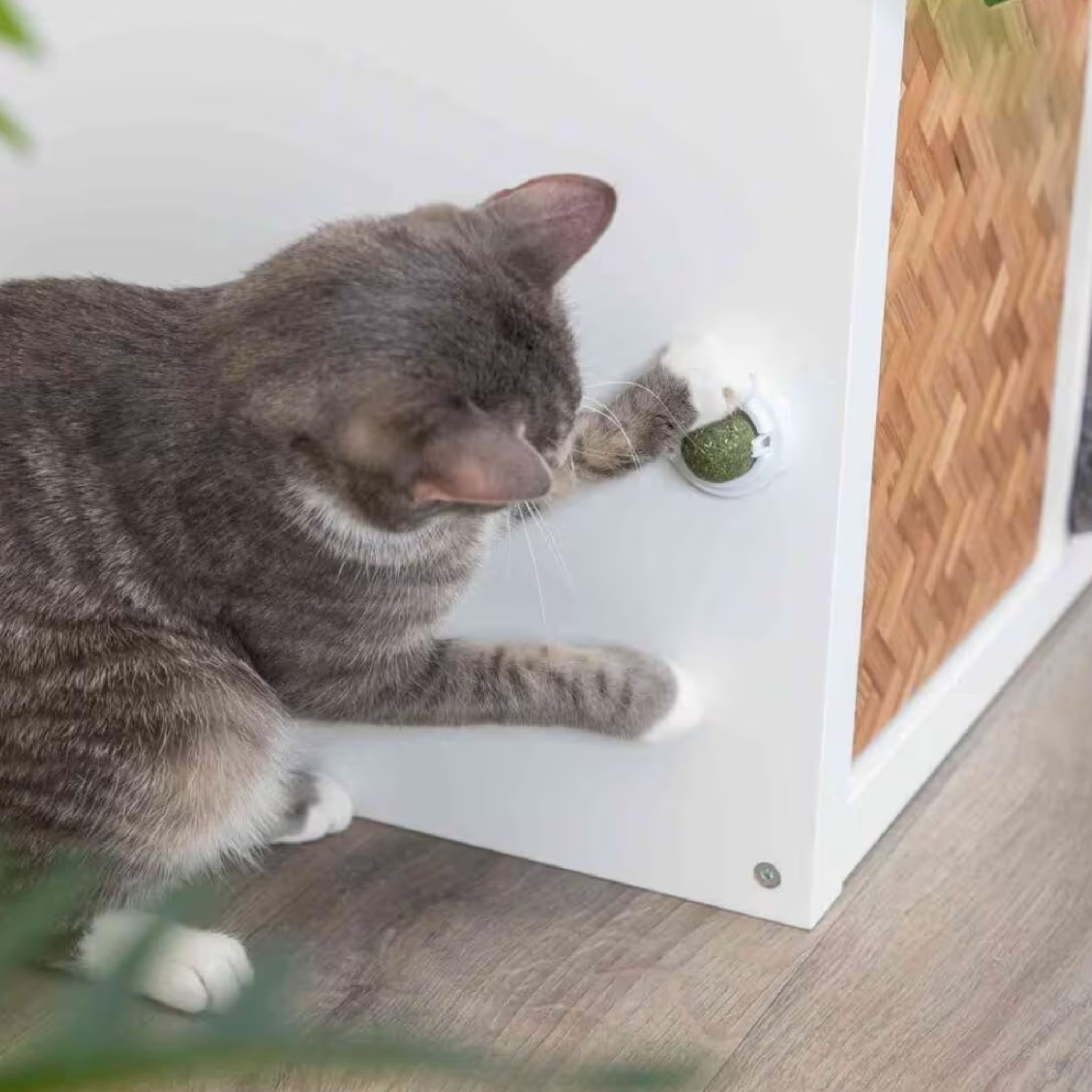 Catnip ball med holder