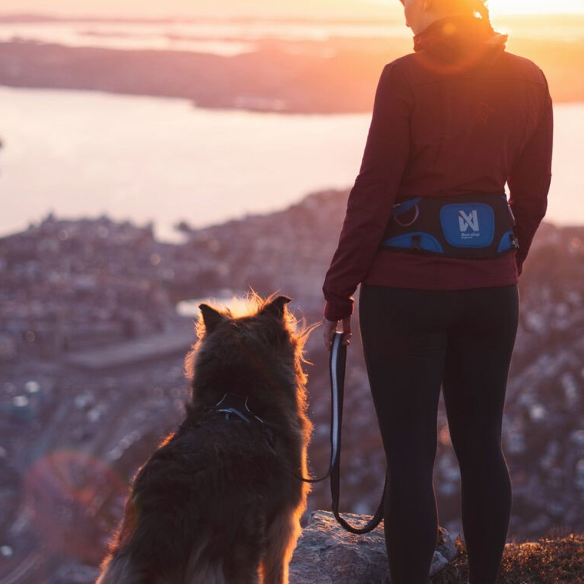 Non-Stop Dogwear Ferd belt