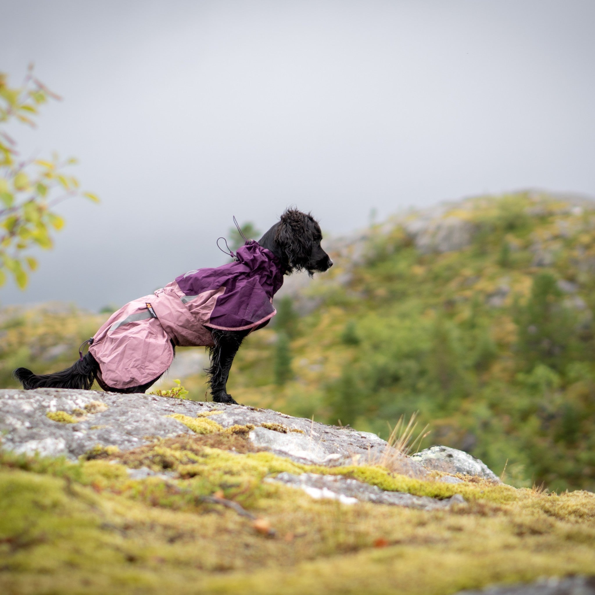Non-Stop Dogwear Fjord raincoat 2.0