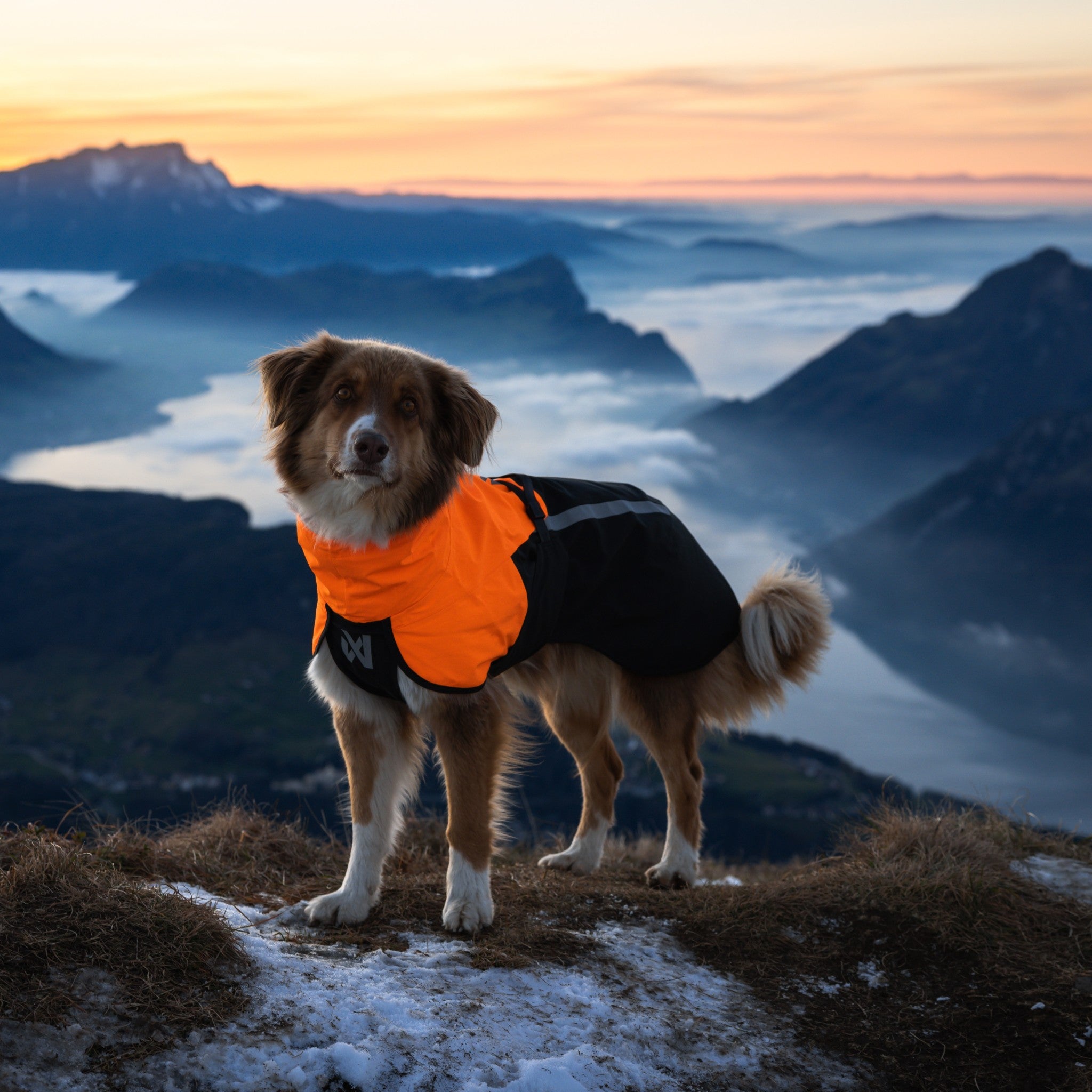 Non-Stop Dogwear Fjord raincoat 2.0