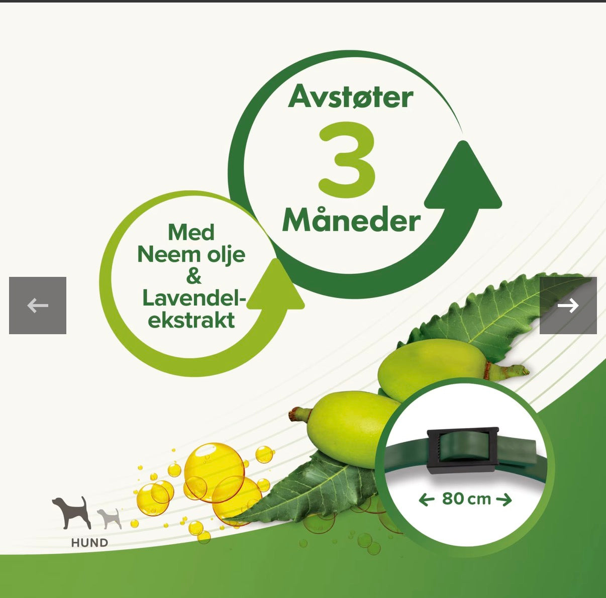 Beaphar Bio flåtthalsbånd til hund 65 cm med naturlige planteekstrakter mot flått, lopper og insekter
