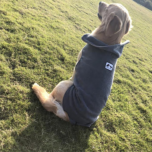 Fleecedekken for hund – brun, rød og grå