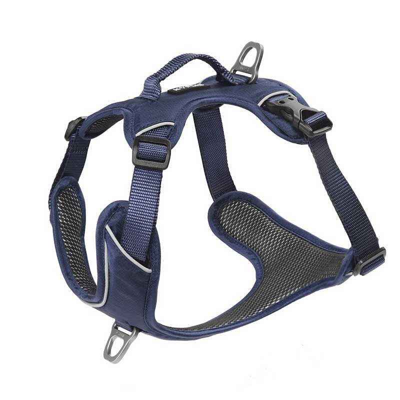 Hundesele KYFLIE Momentum