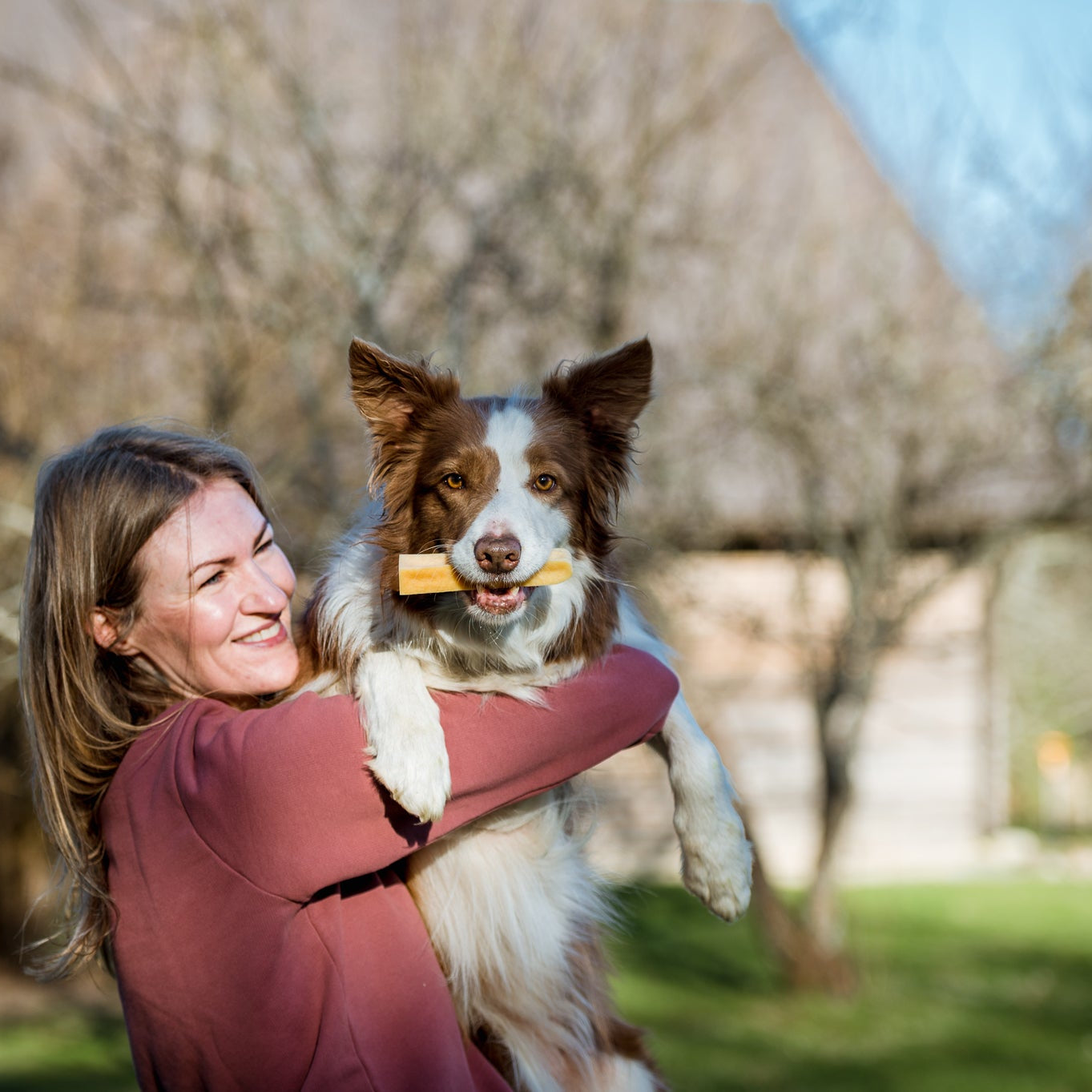 Hi! Dog Chews Nature ostetygg