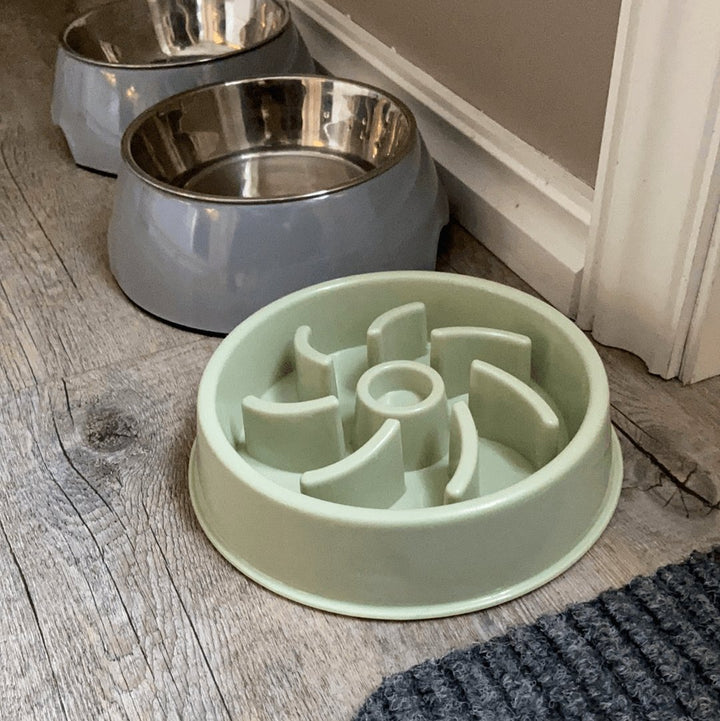 Slow Feeder - Hund som spiser fort -Mat til aktivitet - Hundevennen
