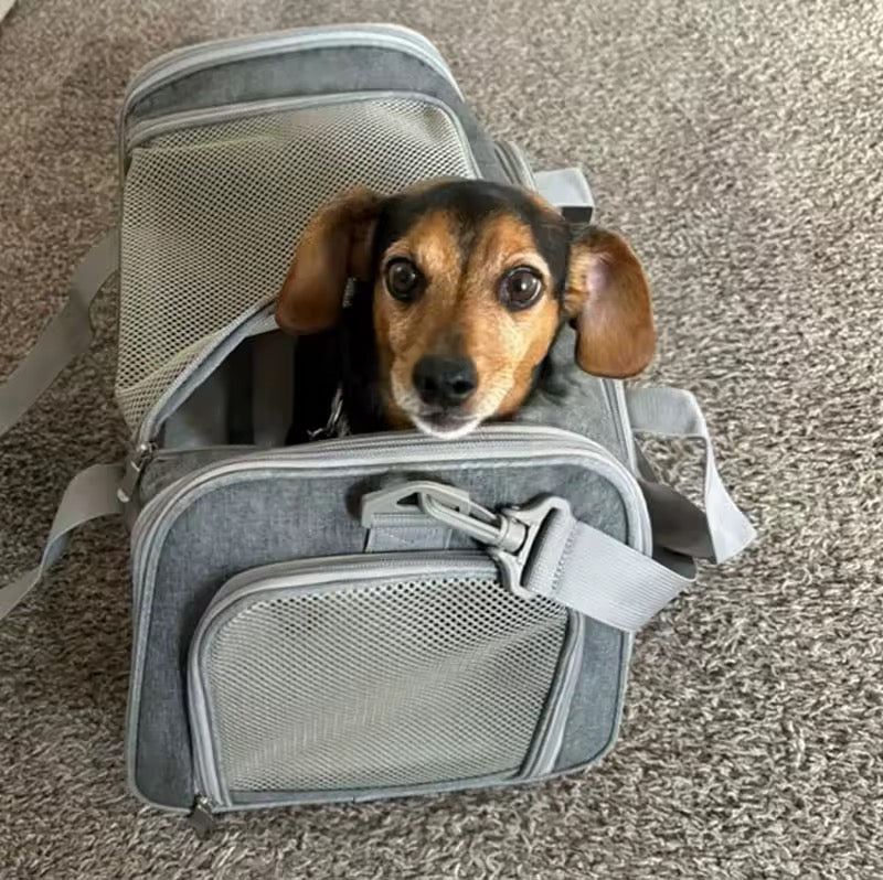 Transportbag til kjæledyr