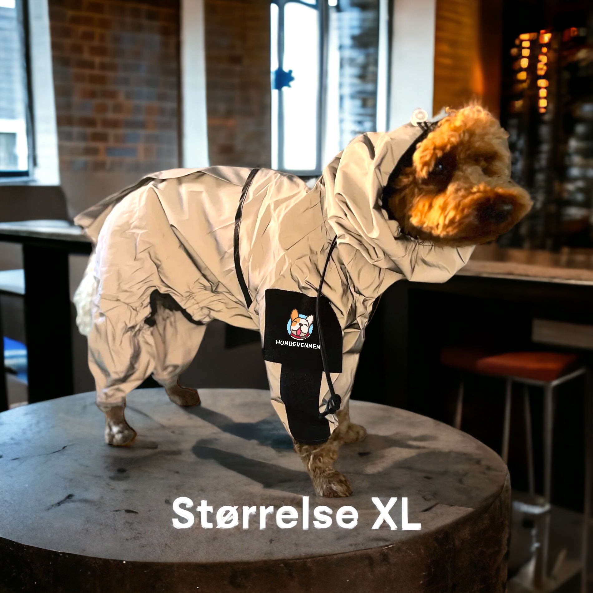 Regndress for hund med heldekkende refleks