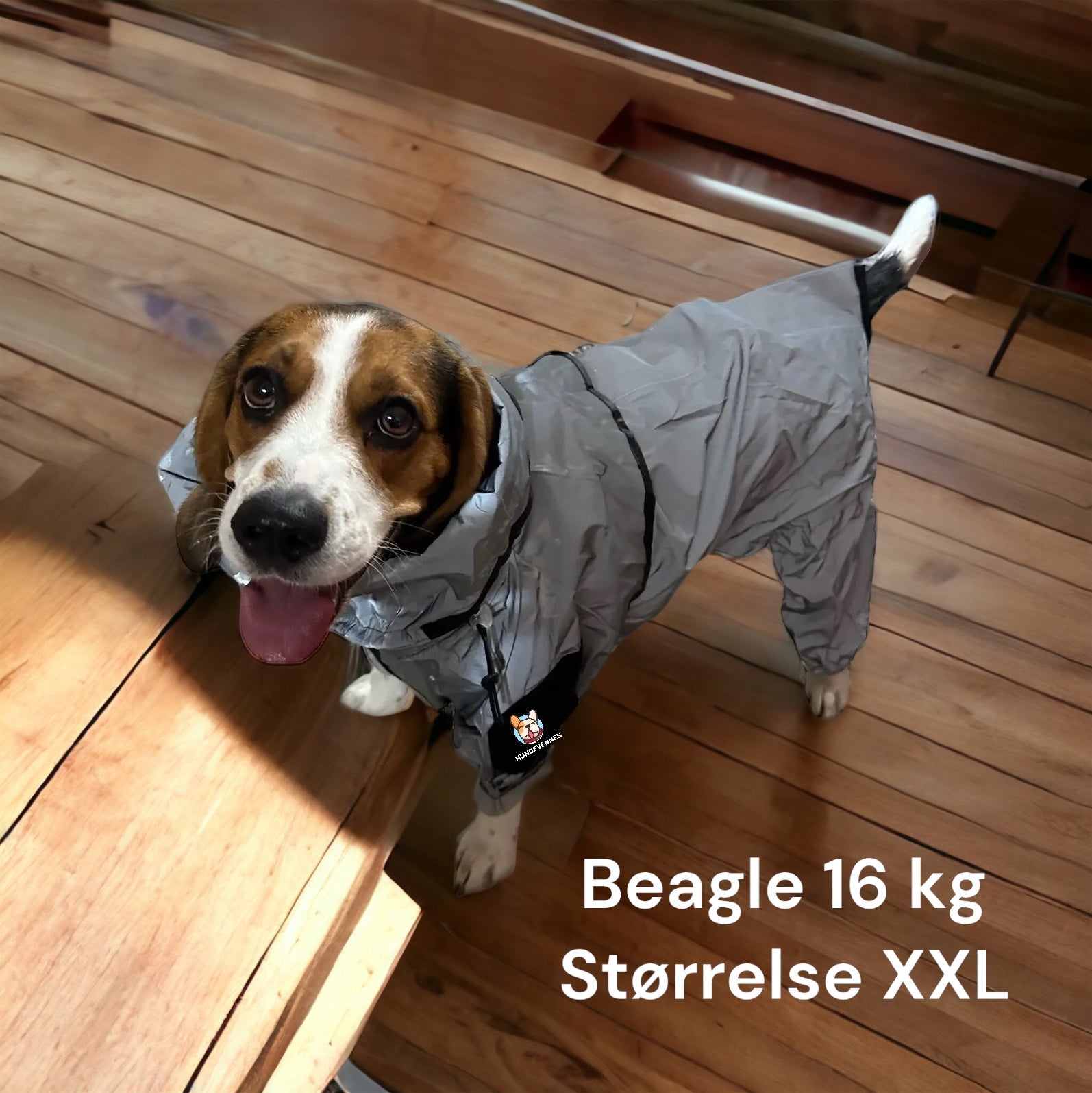 Regndress for hund med heldekkende refleks