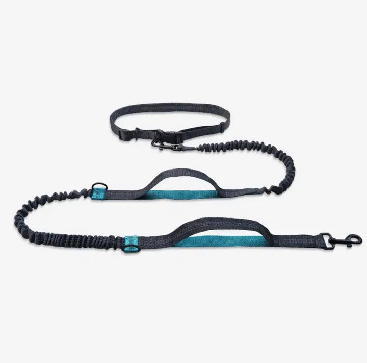 Hundebånd Elastisk - Elastisk kobbel - Kobbel med strikk - Hundevennen