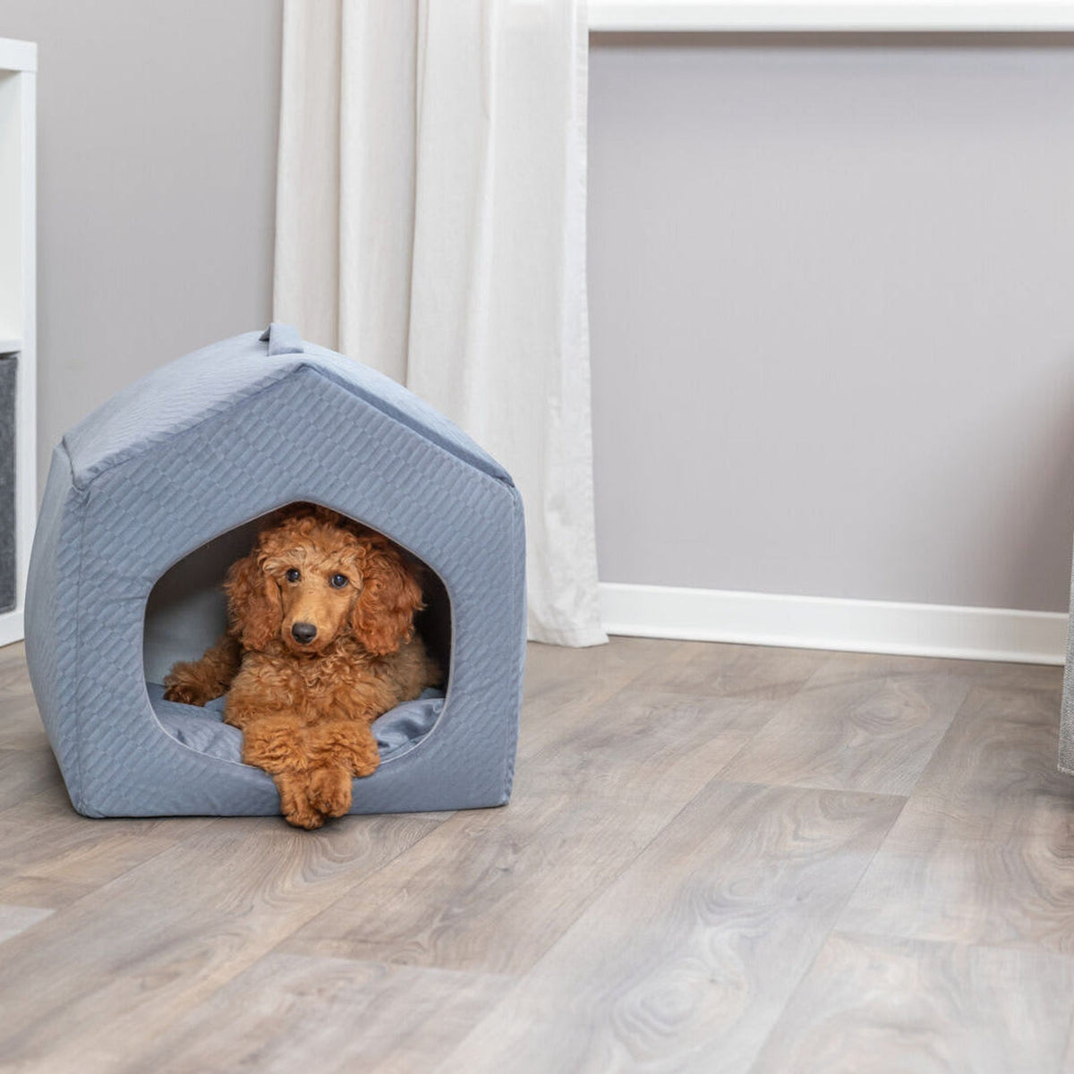 Hund i hundehule Alena Soft Edition i fløyel, blå og grå